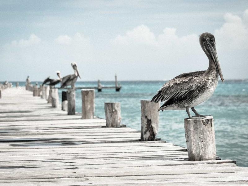阿婆1个动作救下男孩，央视新闻、人民日报等点赞！这招真要学→